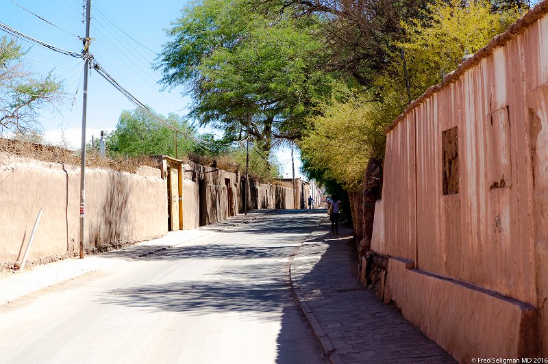 20160329_114739 D3S.jpg - The road outside out hotel, San Pedro de Atacama